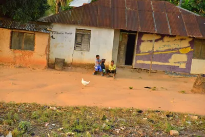 DSC_4289 (Large).JPG